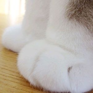 Meet your Posher, Brittney